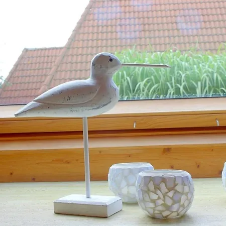Sv3 Wittsand 24 Meer-zeit